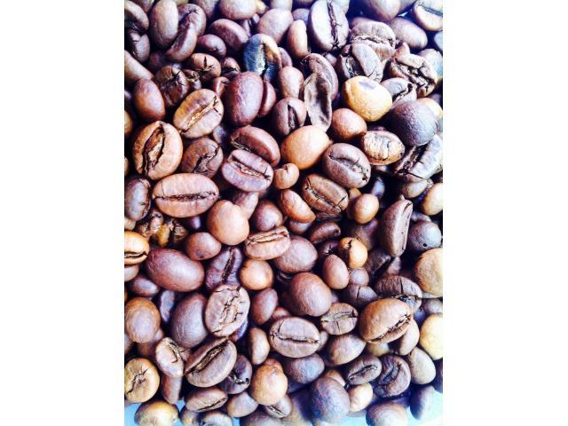 Stock 500 kg de grains café 1ere gamme