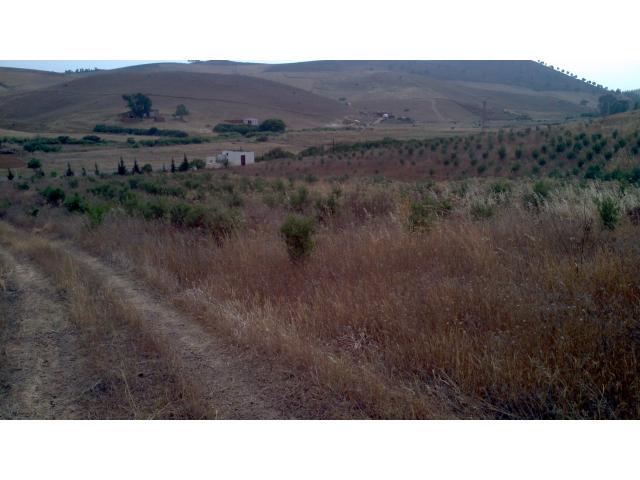 Ferme 13 hectares à Benslimane