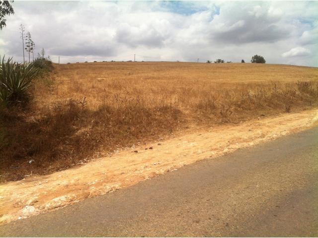 Terrain de 7 hectares à Tnine Chtouka