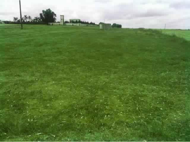 Terrain de 1,5 hectares à Sidi Rahhal
