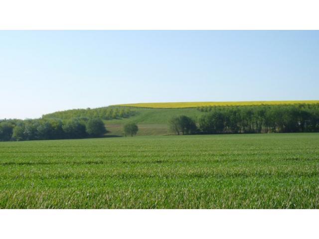 Terrain agricole 30 hectares à Midelt