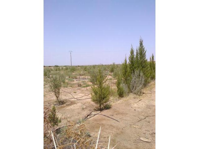 Terrain 130H région Sidi Bouatman