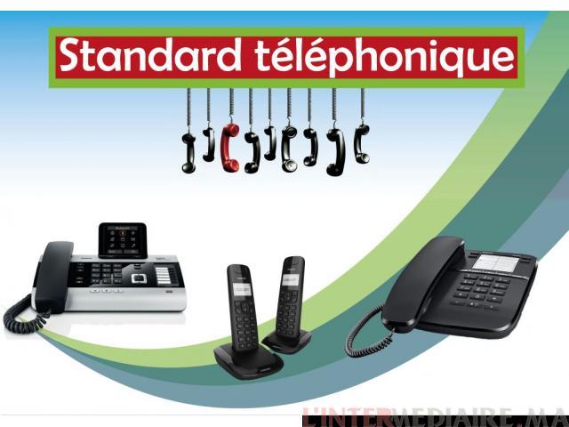 Standards téléphoniques