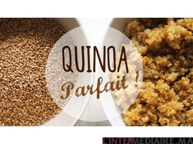 Quinoa bio en gros