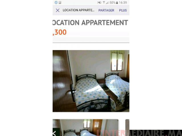 Appartement meublé en location