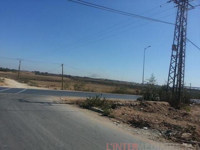 Terrain de 8 hectares à Lehrawiyine Benm