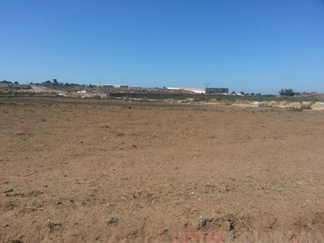 Terrain de 8 hectares à Lehrawiyine Benm