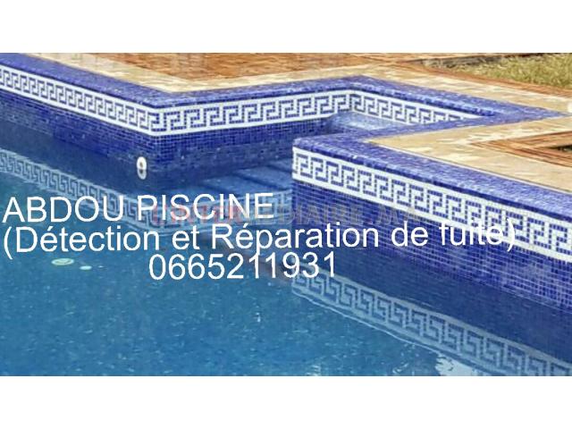 PISCINE(construction,rénovation)