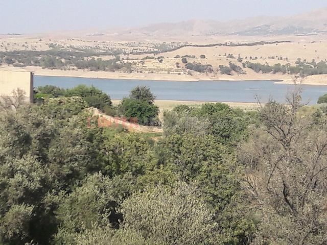 17 hectares titrés au lac de takerkouste