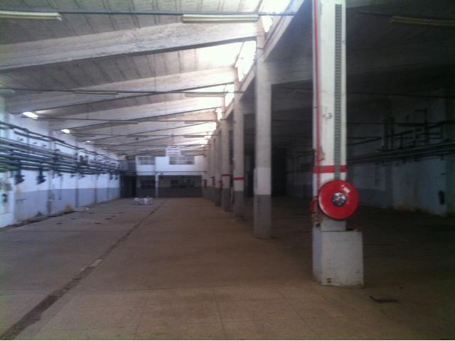 Hangar de 1360 m2 sur Oulfa