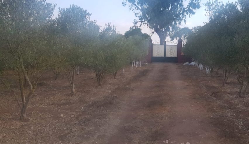 Ferme titrée à vendre