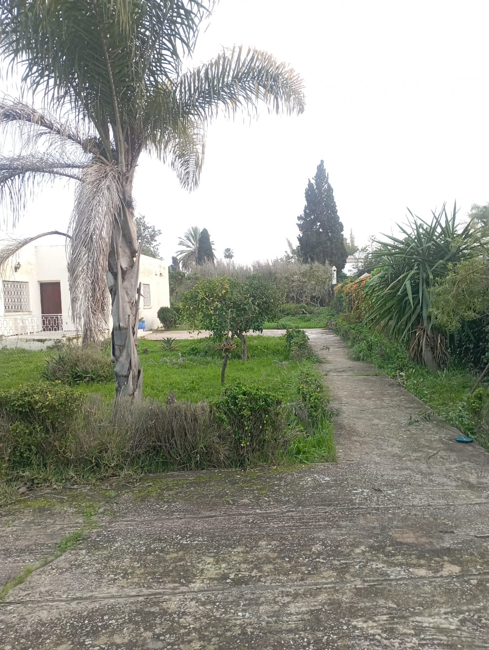 منزل في بئر قاسم السويسي