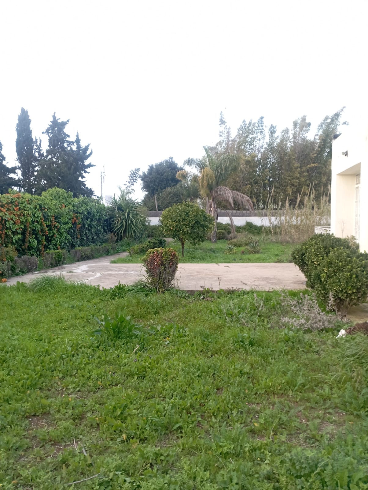 منزل في بئر قاسم السويسي