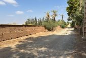 Vente terrain titré Douar Belaaguid