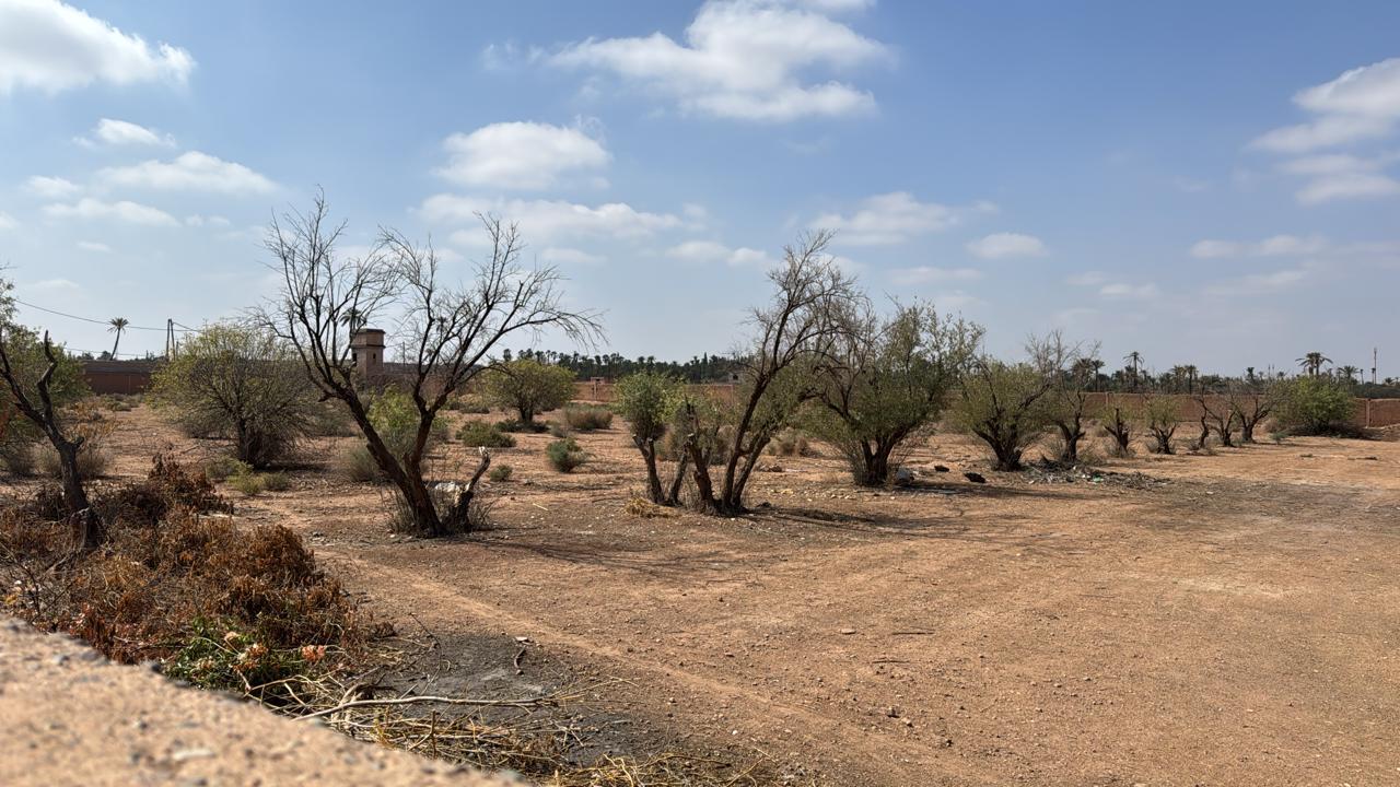 Vente terrain titré Douar Belaaguid